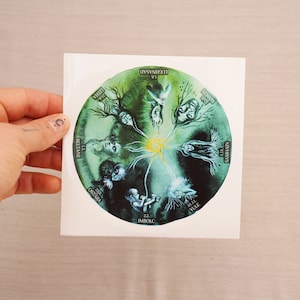 Runder Jahreskreis Sticker, 12cm Outdoor Aufkleber für Jahreszeiten Zyklus
