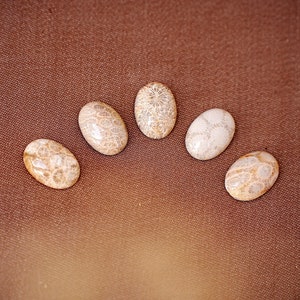 May include: Five oval-shaped fossilised coral cabochons in various shades of brown and white on a brown fabric background.