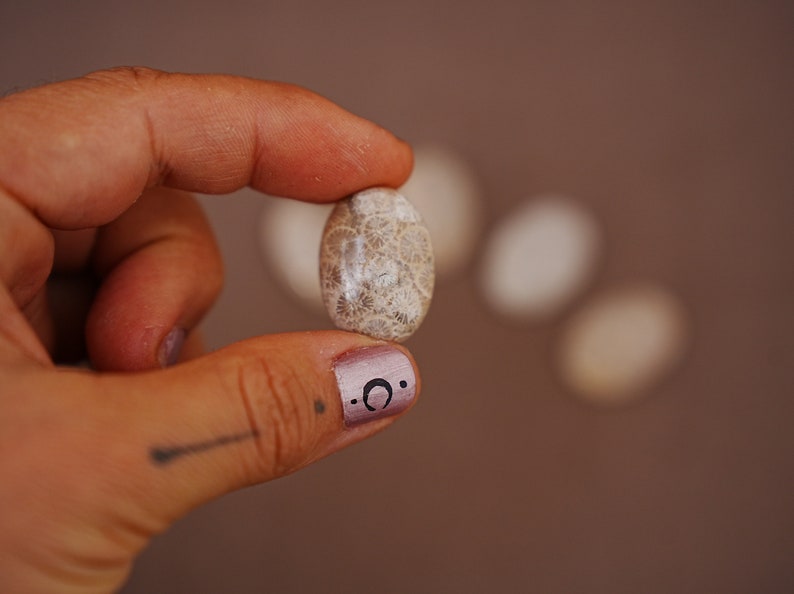 May include: A close-up of a light brown fossilized coral stone, with a white and grey pattern, held in a hand with pink nail polish and a crescent moon design.