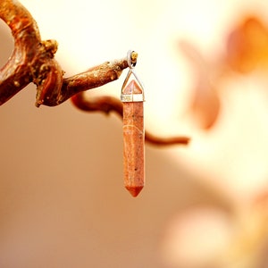 Könnte beinhalten: Ein brauner Kristall-Anhänger mit einer silbernen Fassung hängt an einem Zweig. Der Kristall ist an beiden Enden spitz und hat eine natürliche, raue Textur.