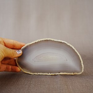May include: A light grey agate slice with a white band in the centre. The agate has a rough, natural edge.