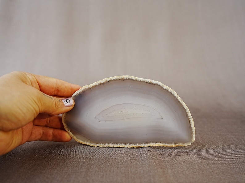 May include: A light grey agate slice with a white band in the centre. The agate has a rough, natural edge.