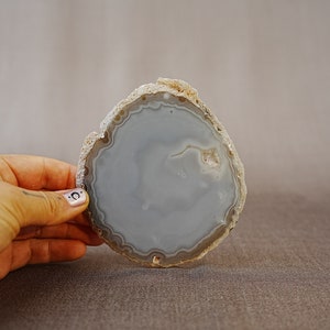 May include: A light grey agate slice with brown banding. The agate is smooth and polished, with a natural, organic shape.