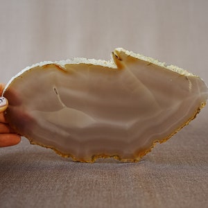 May include: A large, light brown agate slice with a white, translucent centre and a rough, textured edge.