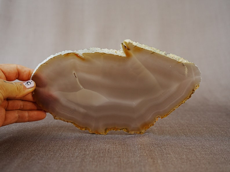 May include: A large, light brown agate slice with a white, translucent centre and a rough, textured edge.