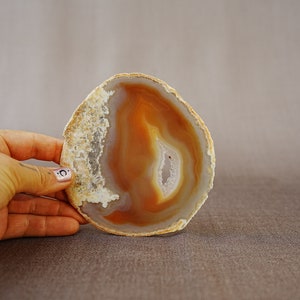 May include: A polished agate slice with a natural brown and white banded pattern. The agate is translucent and has a smooth, polished surface.