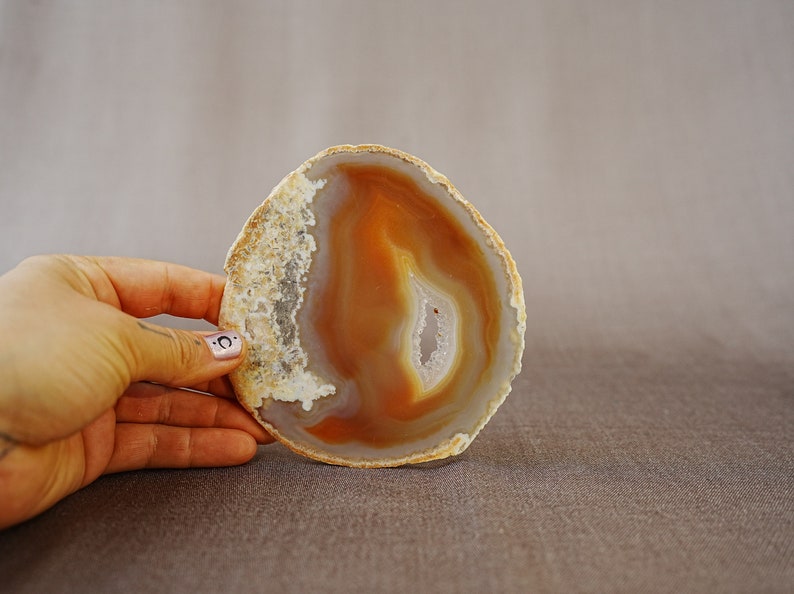 May include: A polished agate slice with a natural brown and white banded pattern. The agate is translucent and has a smooth, polished surface.