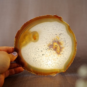May include: A large, round, agate slice with a white centre and brown, orange, and yellow bands around the edge.