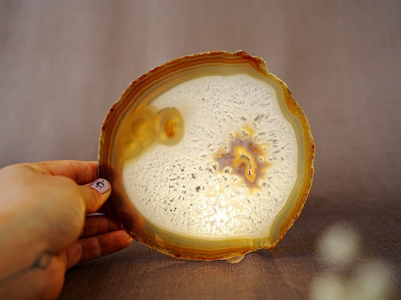 May include: A large, round, agate slice with a white centre and brown, orange, and yellow bands around the edge.