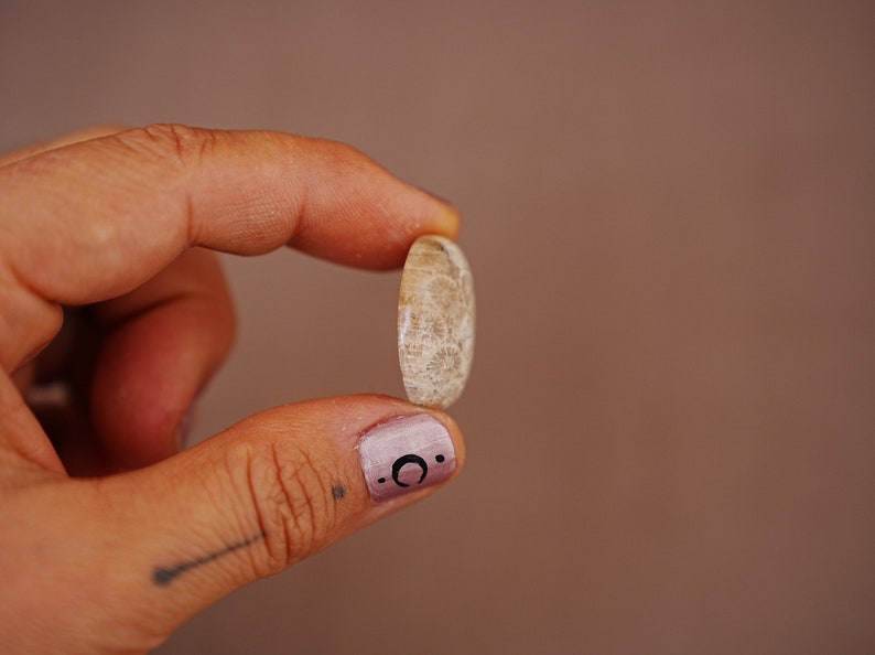 May include: A close-up of a light brown, round, fossilised coral. The coral is being held between two fingers.