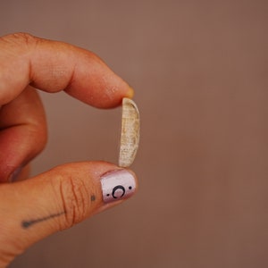 May include: A close-up of a person's hand holding a small, light brown seashell. The person's finger has a pink nail with a black crescent moon design.