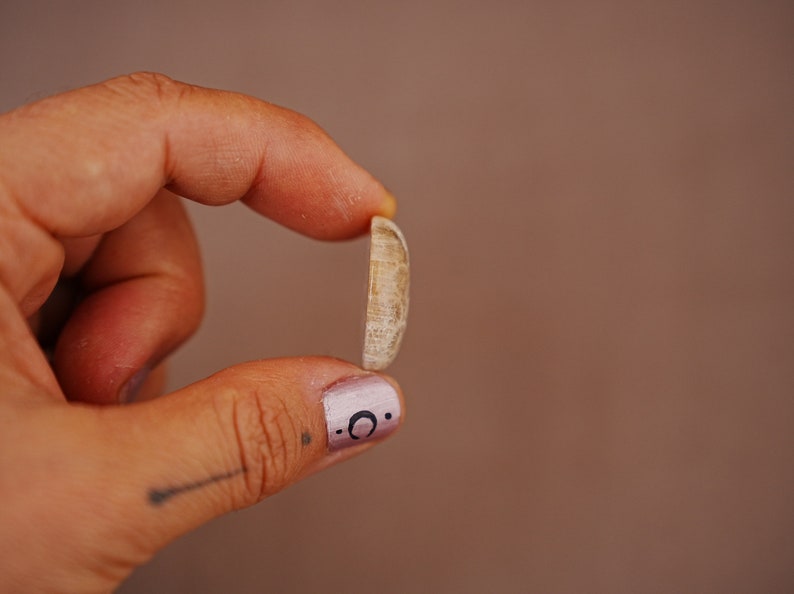 May include: A close-up of a person's hand holding a small, light brown seashell. The person's finger has a pink nail with a black crescent moon design.