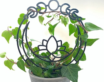 Moon Phases Plant Trellis