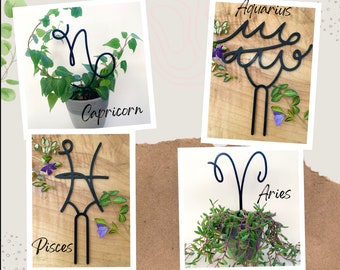 Zodiac Plant Trellises for House Plant Decoration or Flowers