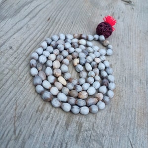 Vaijayanti Mala Beads Necklace, Vaijanti seeds beads 108 India Prayer mala, japa mala 108 Prayer beads, Hindu Buddhist Tibetan yoga mala.