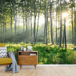 Fantasy Enchanted Forest Mural, Deep Wood Lage Forests Wall Mural