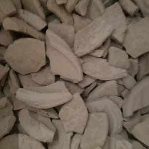 Troncos de arcilla de Bashien
