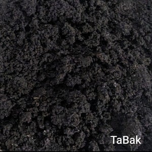 Ayisian TaBK an poud
