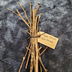 May include: A bundle of thin, brown birch twigs tied together with black string and a tag that reads "Paper Birch New Moon".