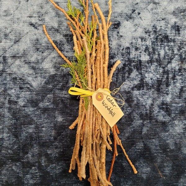 Red Cedar Stick Bundle, Windfall Harvest 2023