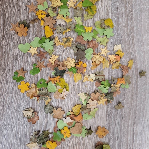 Biodegradable Confetti, made from Leaves, in Heart, Flower, Star, and Butterfly Shape