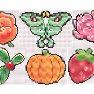 Könnte beinhalten: Sechs Stickmuster mit Kreuzstich, die einen grünen Schmetterling, eine rosa Blume, eine orangefarbene Blume, ein grünes Blatt mit einer roten Beere, einen Kürbis und eine rote Erdbeere zeigen.