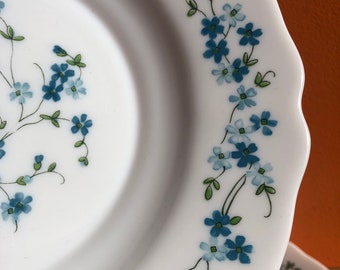 Lot De 6 Coquetiers Anciens Arcopal Veronica – Décor Myosotis Fleurs Bleues