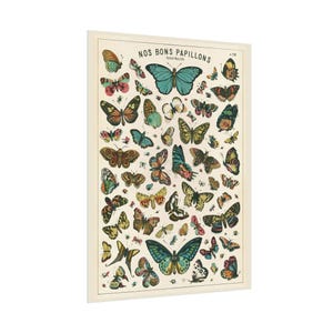 Butterfly Poster, Girls Room Decor, High Quality Reproduction, Old Nature Print Butterfly Art, Cottage Core, Nursery Wall Art, Garden Decor