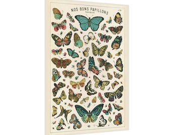 Vintage Butterfly Print, Nature Wall Art, Cottage Core Decor