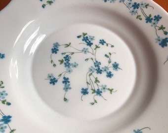 Arcopal Veronica Myosotis - 6 Assiettes Dessert - 19.5 Cm