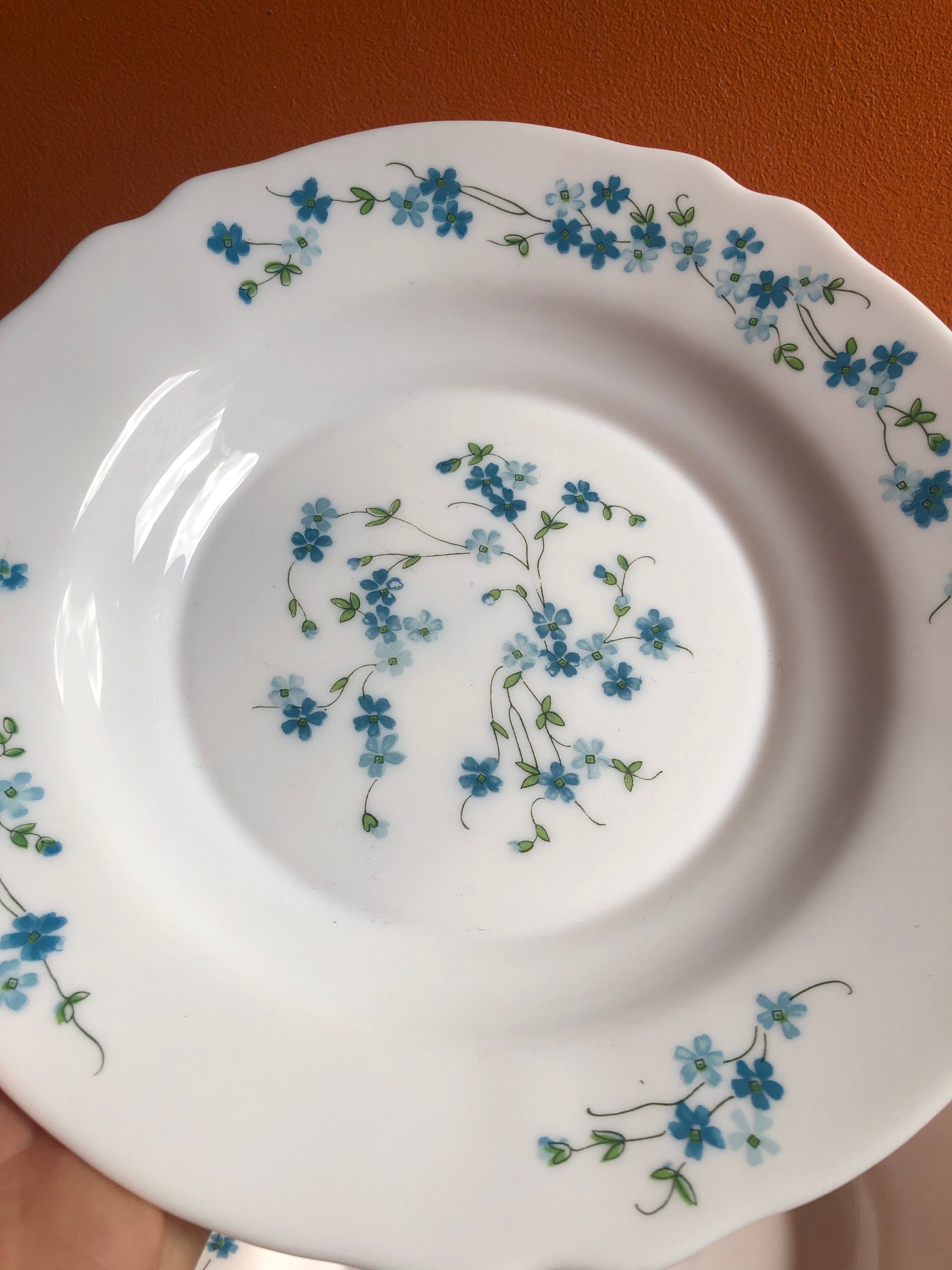 Lot de 6 assiettes creuses à soupe Veronica Arcopal vintage françaises, lot de 6 myosotis bleu, fabriqué en France, verre de lait résistant aux micro-ondes - France