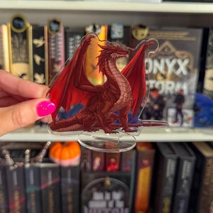 Aotrom Dragon Shelfie Fourth Wing