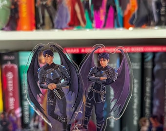 Azriel Spionage Meister Shelfies