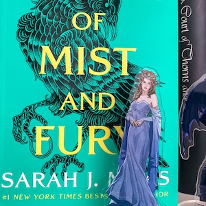 Feyre Archeron ACOTAR Shelfie