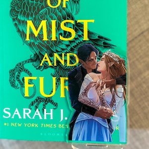 Rhys und Feyre ACOTAR Shelfie Feysand 2