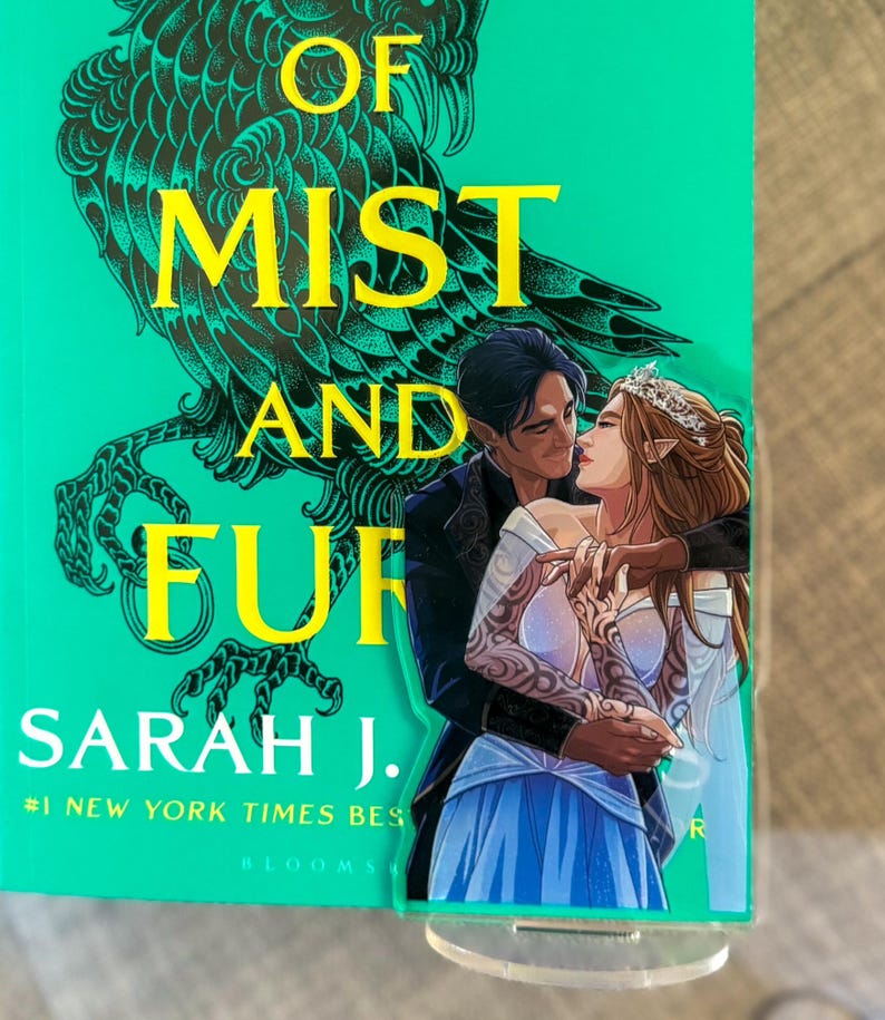 Rhys und Feyre ACOTAR Shelfie Feysand 2