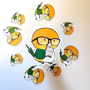 White Bellied Caique Parrot Book Worm Sticker - Funny parrot