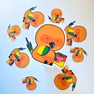 Sun Conure Snacking sticker - Funny Parrot
