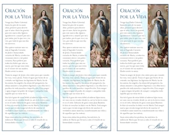 Oración Por La Vida - Spanish Prayer Card (Digital Download)