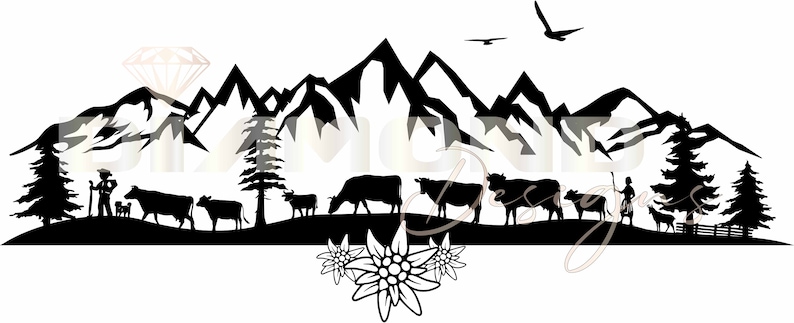 Alpaufzug Swiss Mountain Edleweiss Alpen K he Cow Schweizer Tradition alpaufzug-swiss-mountain-edleweiss-alpen-k-he-cow-schweizer-tradition