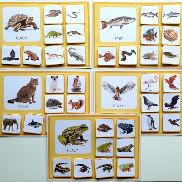 busy book activity for child animal kingdom montessori card