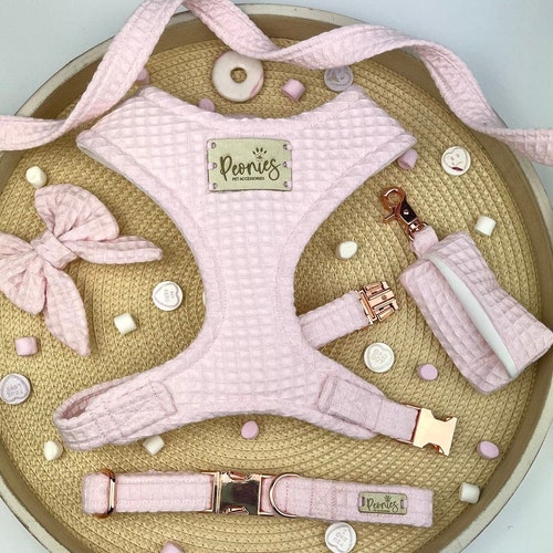 Pistachio sage Green Waffle Dog Harness/collar/lead/poo Bag Etsy