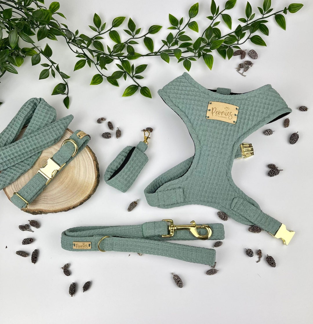 Sage Green Dog Accessories Set. Adjustable Harness Lead & Collar for