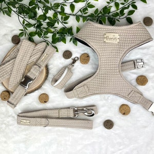 Cream Dog Harness Set, Beige Collar & leash Set for Puppy, Neutral Dog Accessories, Handmade to Measure, Adjustable Style- Cookies and Cream
