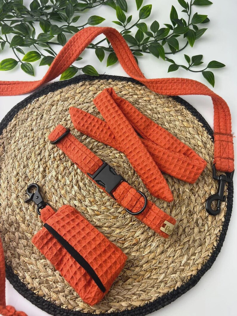 Orange Dog Harness Set. Puppy Accessories. Handmade Collar and Leash ... - Organdy Dog Aprons With Clip-On Accessories