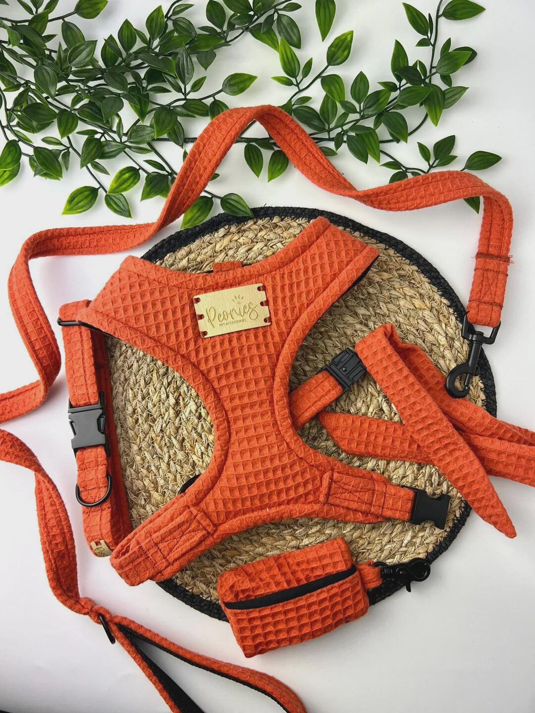 Orange Dog Harness Set. Puppy Accessories. Handmade Collar and Leash ... - Organdy Dog Aprons With Clip-On Accessories