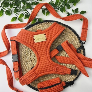 May include: A bright orange dog harness set with a textured waffle design, including a matching lead and waste bag. The set features a harness, lead, and waste bag, all in a vibrant orange hue. The harness has a small wooden tag with the word "Peonies".