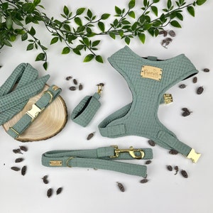 Salie groene hond accessoires set. Puppytuigje, halsband en riem. Handgemaakte vlinderdas. Poepzak houder. Verstelbaar over het hoofd. Wafel PISTACHE