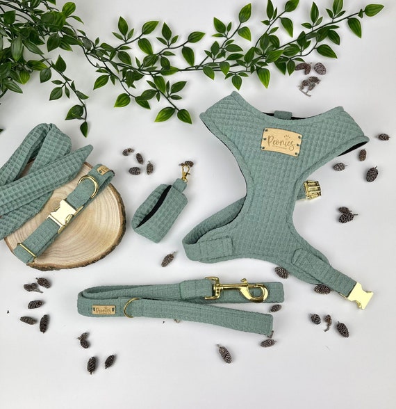 Sage Green Dog Accessories Set. Puppy Harness, Collar and Lead. Handmade  Bow Tie. Poo Bag Holder. Adjustable Over the Head. Waffle PISTACHIO 
