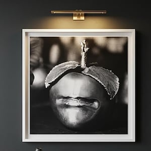 May include: A square black and white framed wall art print featuring a close-up of an apple with a human-like mouth, centered above a wooden console table. The table holds a dark gray abstract vase and a book with the text Satedint Vohen.